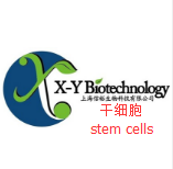 10×genomics单细胞转录组测序